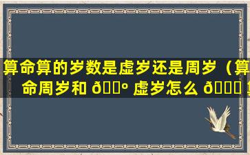 算命算的岁数是虚岁还是周岁（算命周岁和 🐺 虚岁怎么 🕊 算最准确）